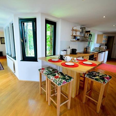 Green Haven Roofgarden Penthouse In Central Area Wenen Buitenkant foto